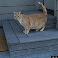 0005 Milo 20060910