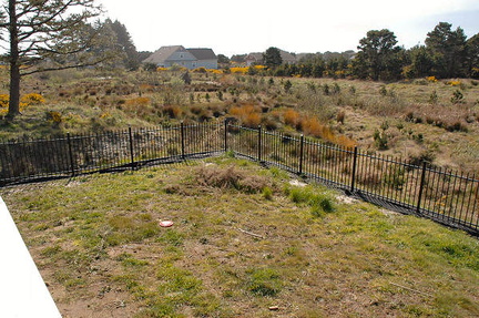 yard-after-fence-before-landscaping-2